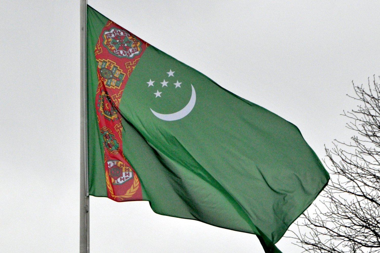 Botschafter Turkmenistans akrreditiert: Berdimurat Redjepov