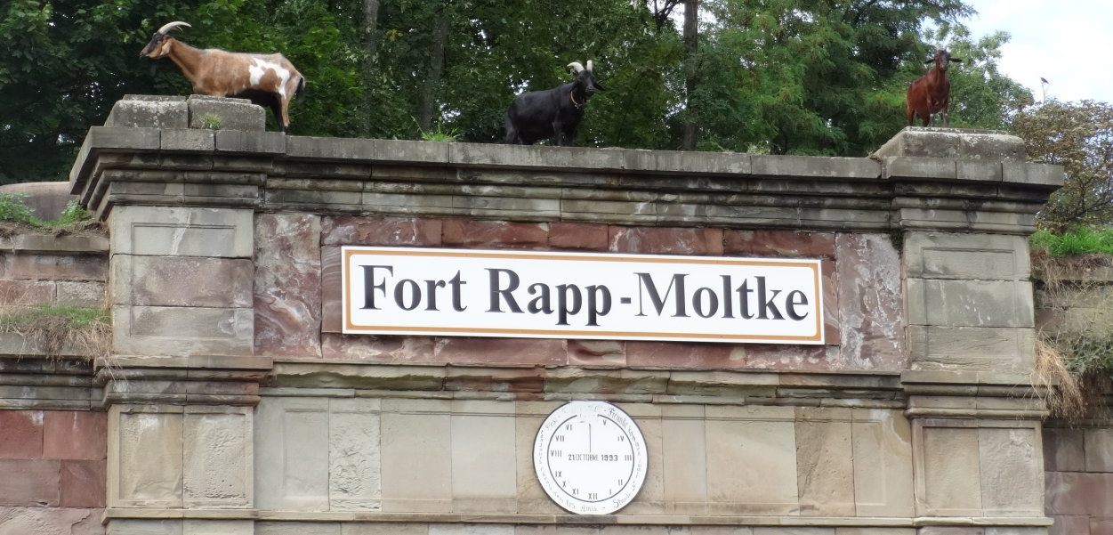 Fort Rapp-Moltke Straßburg