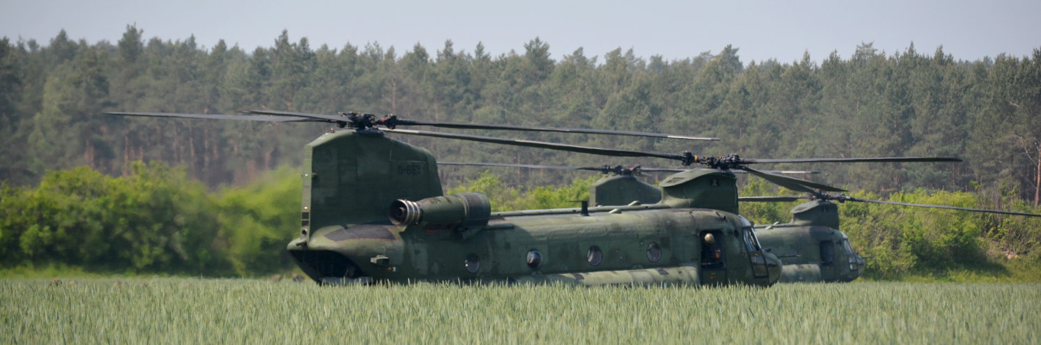 Green Griffin 2019 CH 47 Chinook F