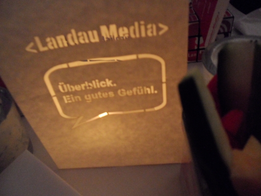 Landau Media Medienanalyse